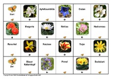 Domino-Frühlingsblüten-5.pdf